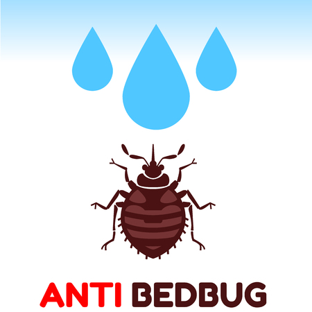 Home bedbug vector illustration - set of household pests in pure styleのイラスト素材
