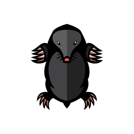 mole pest animal vector illustration - set of household pests in pure styleのイラスト素材