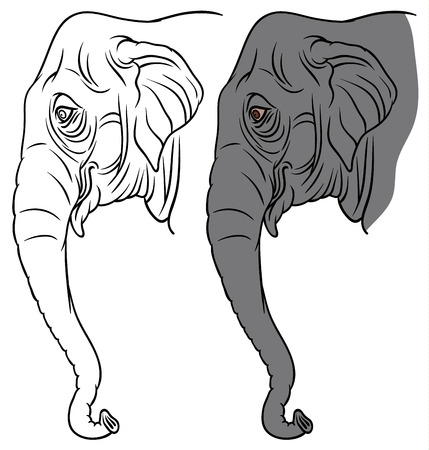 head of an elephant - vector illustrationのイラスト素材