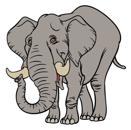 vector illustration of Cartoon Elephant on white backgroundのイラスト素材