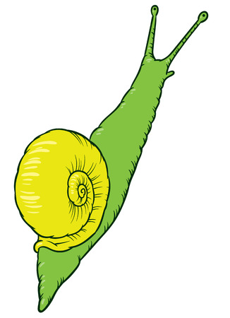 cartoon snail - vector hand drawing illustrationのイラスト素材