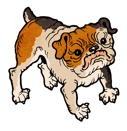 cute brindle bulldog vector illustrationのイラスト素材