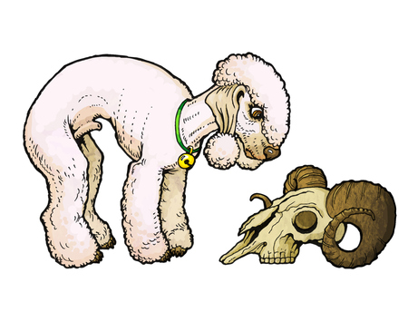 Bedlington Terrier looks at a sheep skull. From a series of images of funny dogs.のイラスト素材