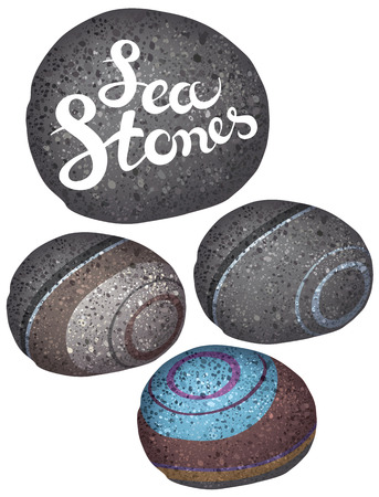 vector illustration - sea pebble with exclusive hand drawing lettering - summer sea themeのイラスト素材