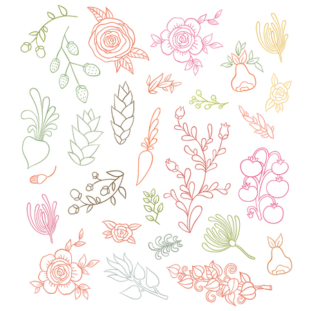 large floral set hand-drawing flowers - elements for design your  cards, invitations, prints, stickers and fabricsのイラスト素材