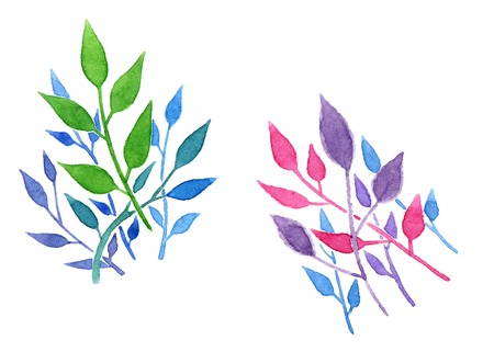 set of multicolored tree branches with leavesの写真素材