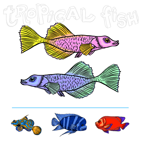 Bright tropical sea fish - vector hand drawing isolated linear illustration in sketch styleのイラスト素材