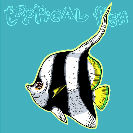 Bright tropical sea fish - vector hand drawing isolated linear illustration in sketch styleのイラスト素材