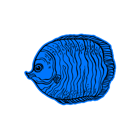 Bright tropical sea fish - vector hand drawing isolated linear illustration in sketch styleのイラスト素材