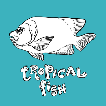 Tropical Fish - Vector hand drawing illustration with lettering on background for designのイラスト素材