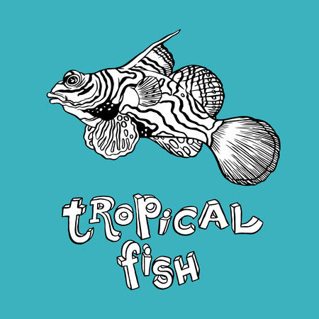 Tropical Fish - Vector hand drawing illustration with lettering on background for designのイラスト素材