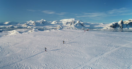 People running wild Antarctica snow trail race. Travel, active lifestyle, sport, recreation in...