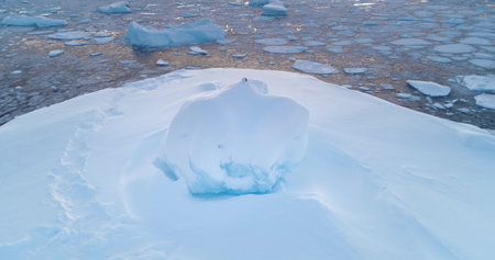 Aerial Arctic frozen ocean landscape with snow covered ice floe drifting cold water. Seagull wild...