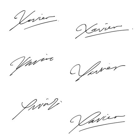 Signature with the first letter X with a variety of shapes. Set of hand drawn calligraphy isolated on white background. Vector illustration.のイラスト素材