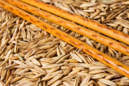 Oat grain and grain sticks. Close-up.