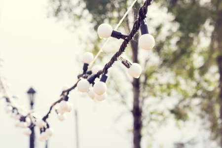 Garland light bulbs closeup outdoor. outdoor background park