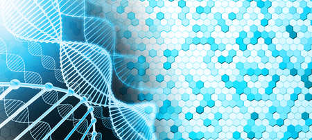 Abstract background from hexagons. 3d illustration. surface of hexagonal tiles. DNA background....
