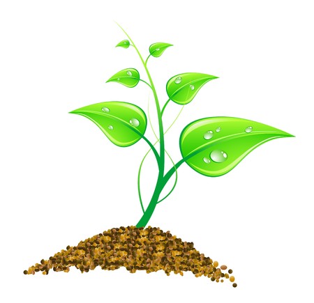 Vector illustration environmental concept - green leaves, macro, isolated on whiteの写真素材