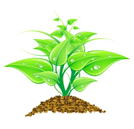 Vector illustration environmental concept - green leaves, macro, isolated on whiteの写真素材