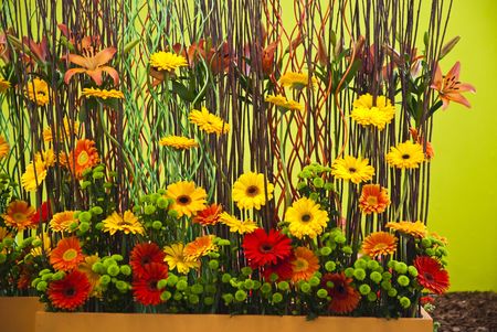 Beautiful colorful flower backgroundの写真素材