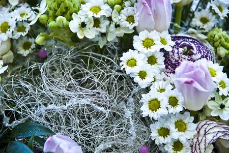 Beautiful colorful flower backgroundの写真素材