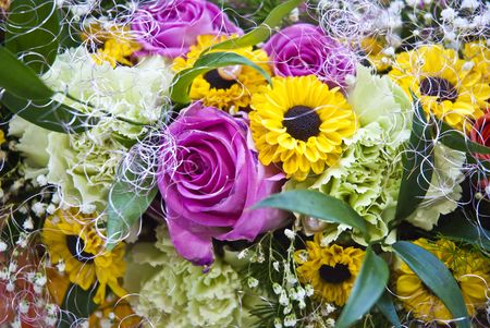 Beautiful colorful flower backgroundの写真素材