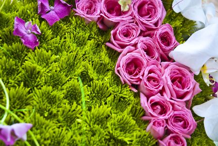 Beautiful colorful flower backgroundの写真素材