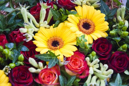 Beautiful colorful flower backgroundの写真素材