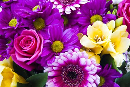 Beautiful colorful flower backgroundの写真素材