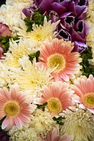 Beautiful colorful flower backgroundの写真素材