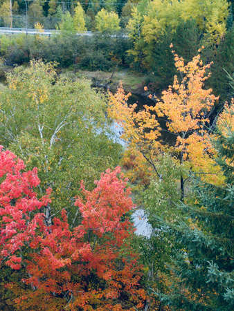 The La Tuque region of Quebec during the colourful fall season