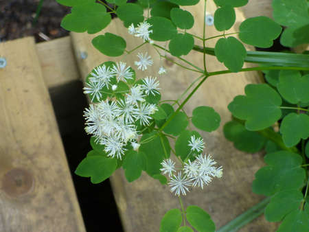 The Doncaster river in southern Quebecの写真素材