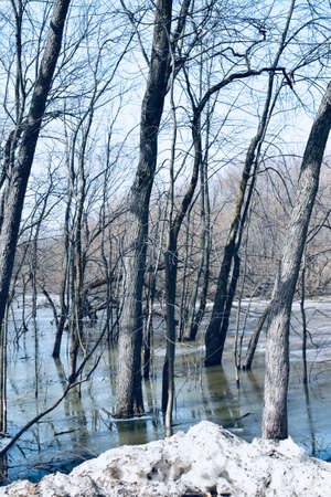 Floods at Anse au Port Ecological parkの写真素材
