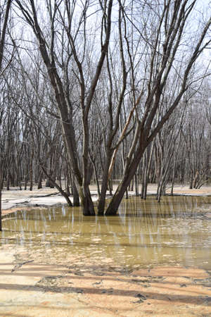 Floods at Anse au Port Ecological park