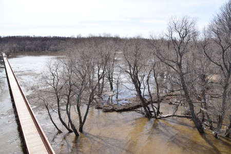 Floods at Anse du Port Ecological parkの写真素材