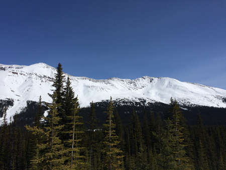 Scenic Icefield Parkway with blue skiesの写真素材