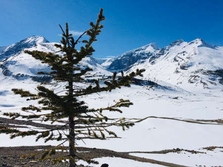 Scenic Icefield Parkway with blue skies