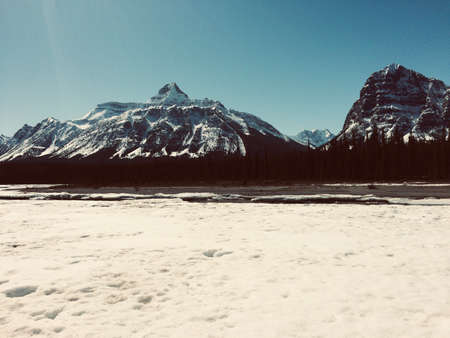 Majestic Jasper National Park on a sunny dayの写真素材