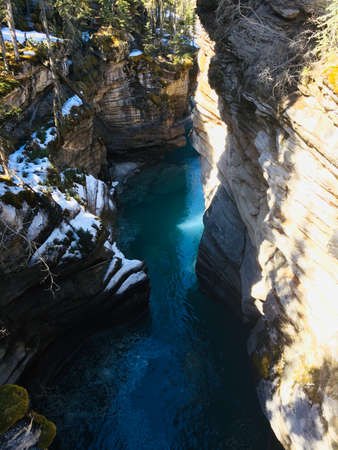 Majestic Jasper National Park on a sunny dayの写真素材