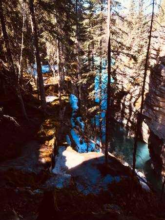 Majestic Jasper National Park on a sunny day