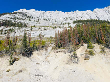 Majestic Jasper National Park on a sunny day