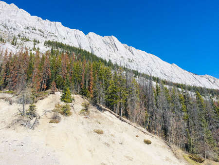Majestic Jasper National Park on a sunny dayの写真素材