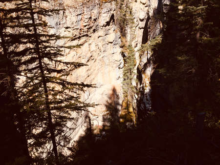 Majestic Jasper National Park on a sunny day