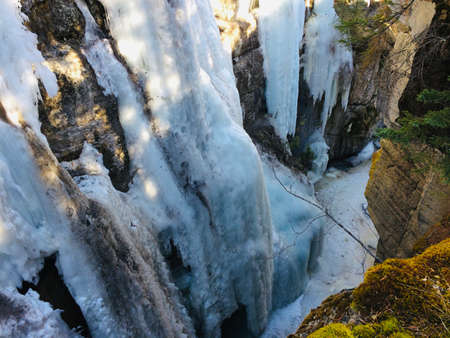 Majestic Jasper National Park on a sunny dayの写真素材
