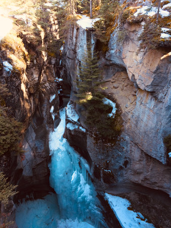 Majestic Jasper National Park on a sunny day