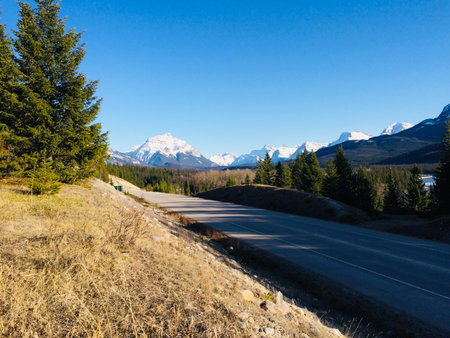 Majestic Jasper National Park on a sunny day