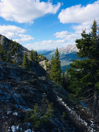 Banff National Park from an amazing viewpoint
