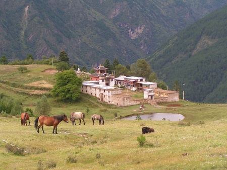 Near Danba, China - August 22nd 2005 - Horses grazing on a hillside near a Buddhist Monasteryのeditorial素材