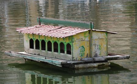 Bird's nestの写真素材