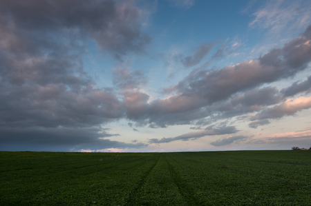 Green field and cloudy sky with moving clouds late in the evening. Long exposure photographの写真素材